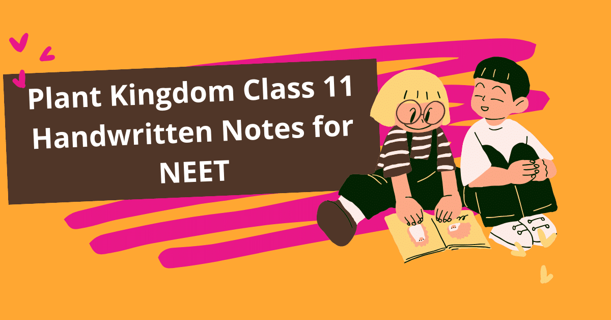 Plant Kingdom Class 11 Handwritten Notes NEET