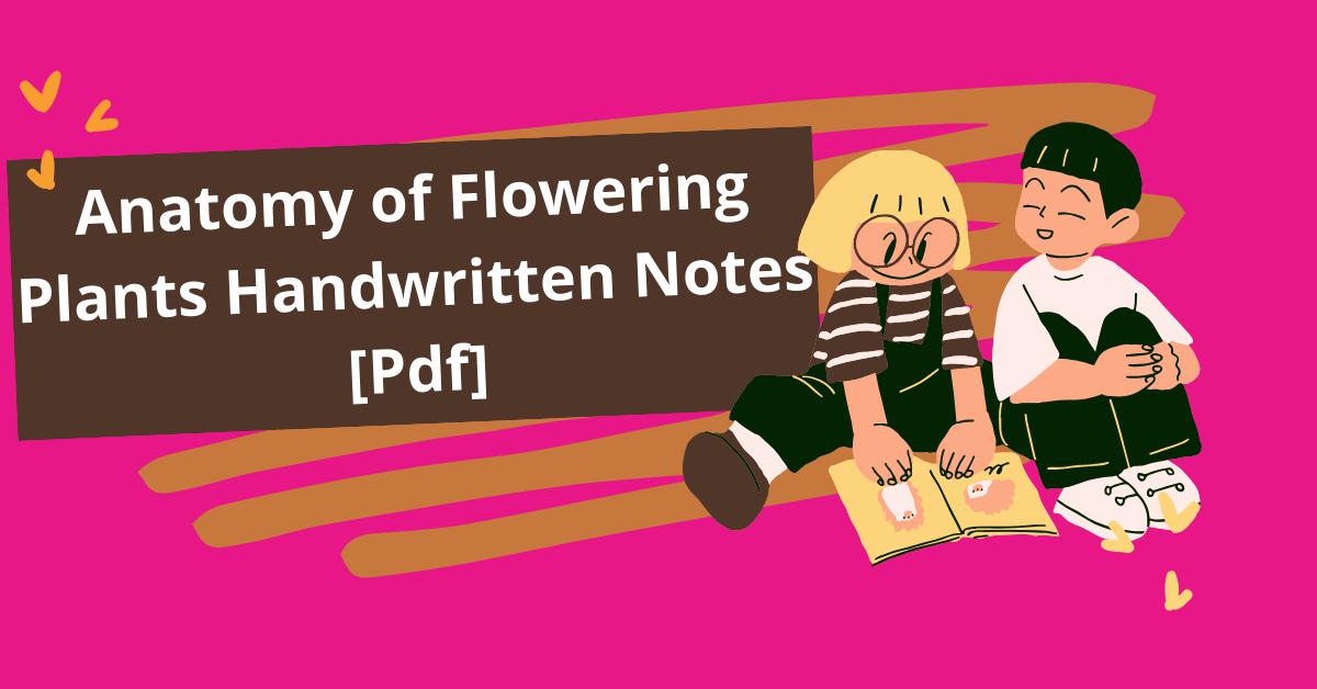 Anatomy of Flowering Plants Handwritten Notes Pdf